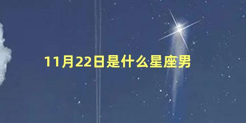 11月22日是什么星座男