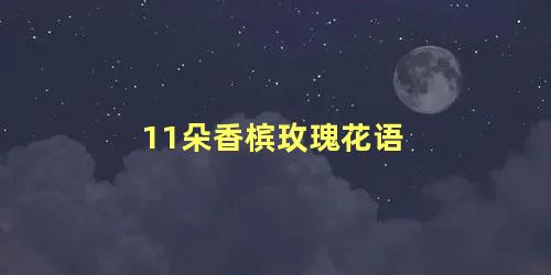 11朵香槟玫瑰花语