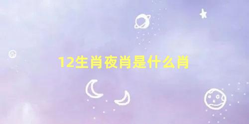 12生肖夜肖是什么肖