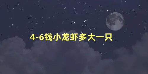 4-6钱小龙虾多大一只