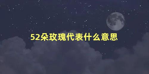 52朵玫瑰代表什么意思