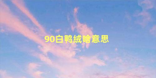 90白鸭绒啥意思