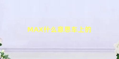 MAX什么意思车上的