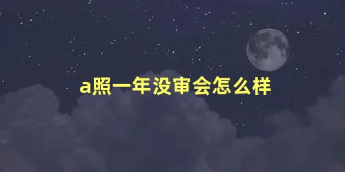 a照一年没审会怎么样