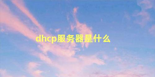 dhcp服务器是什么