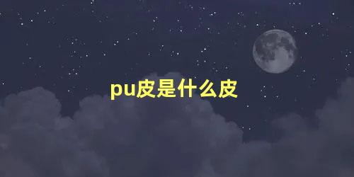 pu皮是什么皮