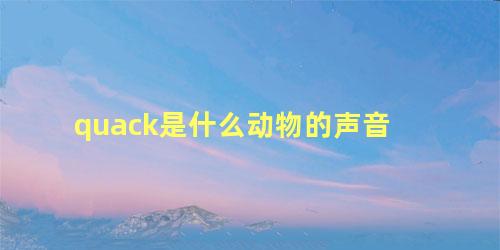 quack是什么动物的声音