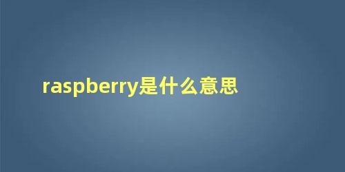 raspberry是什么意思