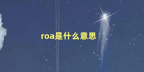 roa是什么意思