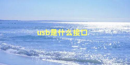 usb是什么接口