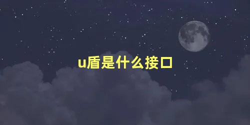 u盾是什么接口