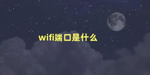 wifi端口是什么