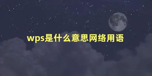 wps是什么意思网络用语