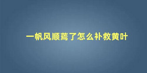 一帆风顺蔫了怎么补救黄叶