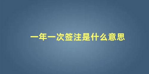 一年一次签注是什么意思