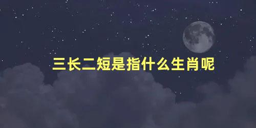 三长二短是指什么生肖呢