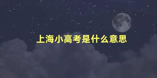 上海小高考是什么意思