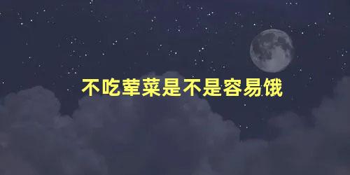 不吃荤菜是不是容易饿