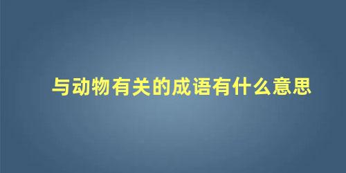 与动物有关的成语有什么意思