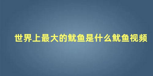 世界上最大的鱿鱼是什么鱿鱼视频