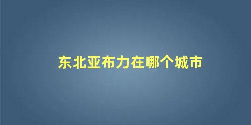 东北亚布力在哪个城市