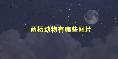 两栖动物有哪些图片