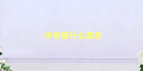 中专是什么意思