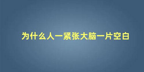 为什么人一紧张大脑一片空白