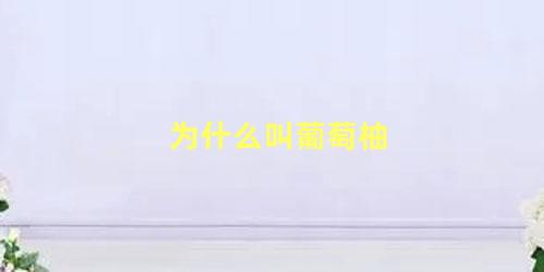 为什么叫葡萄柚