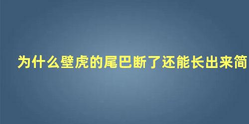 为什么壁虎的尾巴断了还能长出来简短答案