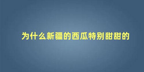 为什么新疆的西瓜特别甜甜的