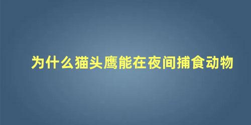 为什么猫头鹰能在夜间捕食动物