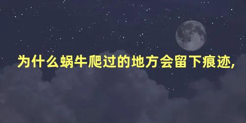 为什么蜗牛爬过的地方会留下痕迹,有什么用