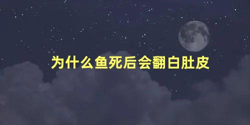 为什么鱼死后会翻白肚皮