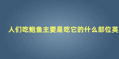 人们吃鲍鱼主要是吃它的什么部位英语