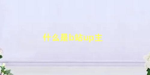 什么是b站up主