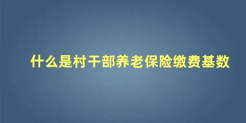 什么是村干部养老保险缴费基数