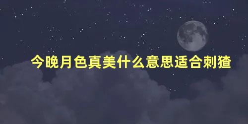 今晚月色真美什么意思适合刺猹