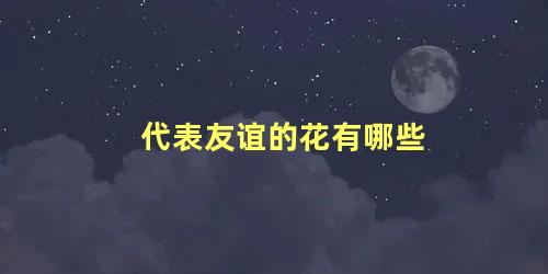 代表友谊的花有哪些