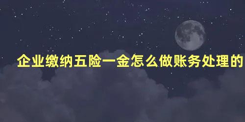 企业缴纳五险一金怎么做账务处理的