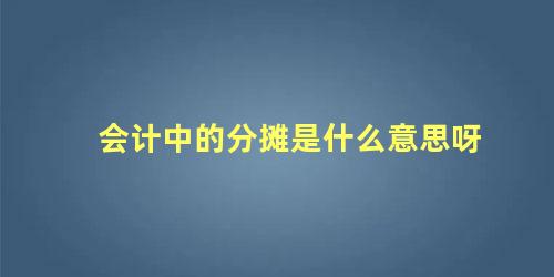 会计中的分摊是什么意思呀