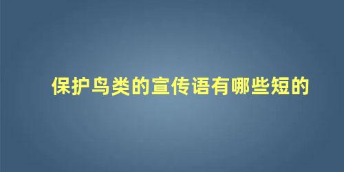 保护鸟类的宣传语有哪些短的