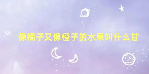 像橘子又像橙子的水果叫什么甘