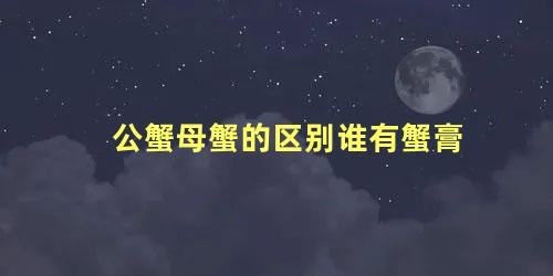 公蟹母蟹的区别谁有蟹膏