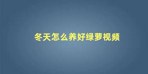 冬天怎么养好绿萝视频