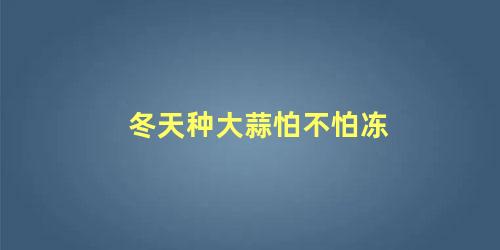 冬天种大蒜怕不怕冻