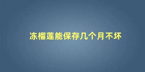 冻榴莲能保存几个月不坏