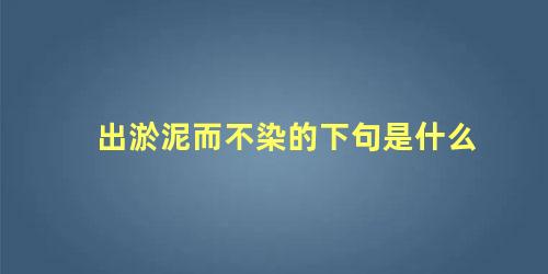 出淤泥而不染的下句是什么