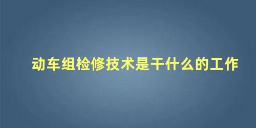 动车组检修技术是干什么的工作