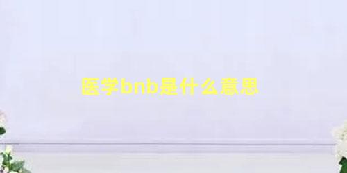 医学bnb是什么意思